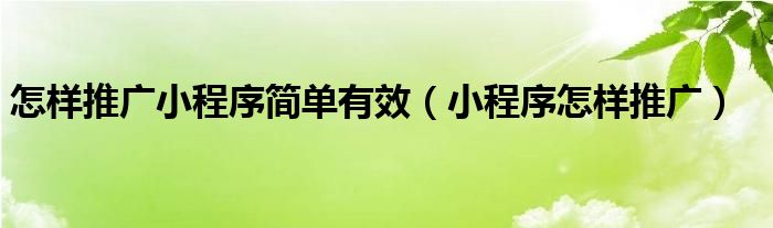 怎样推广小程序简单有效（小程序怎样推广）