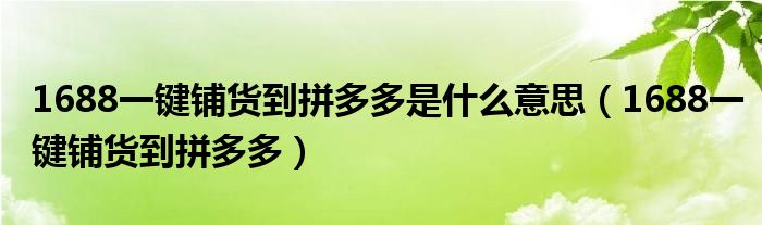 1688一键铺货到拼多多是什么意思（1688一键铺货到拼多多）