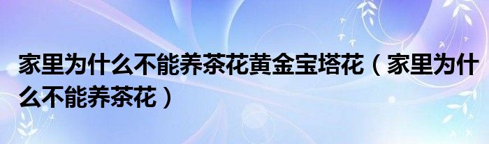 家里为什么不能养茶花黄金宝塔花（家里为什么不能养茶花）