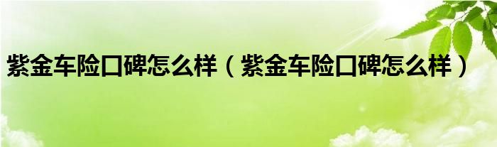 紫金车险口碑怎么样（紫金车险口碑怎么样）