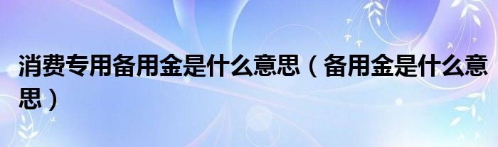 消费专用备用金是什么意思（备用金是什么意思）