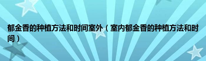 郁金香的种植方法和时间室外（室内郁金香的种植方法和时间）