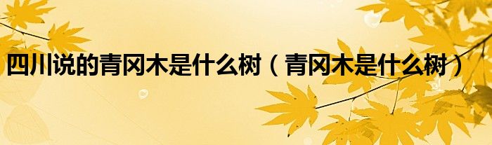 四川说的青冈木是什么树（青冈木是什么树）