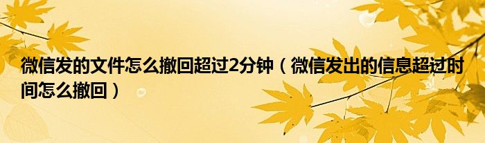 微信发的文件怎么撤回超过2分钟（微信发出的信息超过时间怎么撤回）