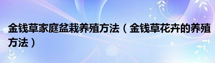 金钱草家庭盆栽养殖方法（金钱草花卉的养殖方法）