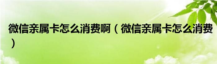 微信亲属卡怎么消费啊（微信亲属卡怎么消费）