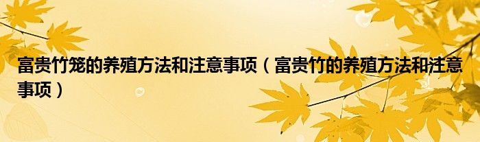 富贵竹笼的养殖方法和注意事项（富贵竹的养殖方法和注意事项）