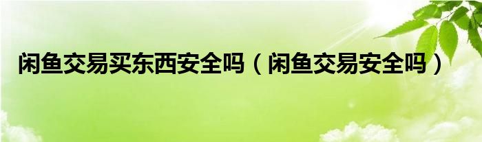 闲鱼交易买东西安全吗（闲鱼交易安全吗）