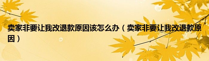 卖家非要让我改退款原因该怎么办（卖家非要让我改退款原因）