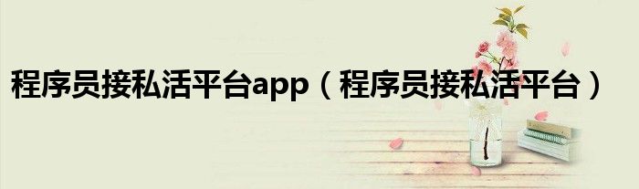 程序员接私活平台app（程序员接私活平台）