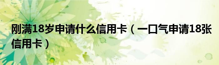 刚满18岁申请什么信用卡（一口气申请18张信用卡）