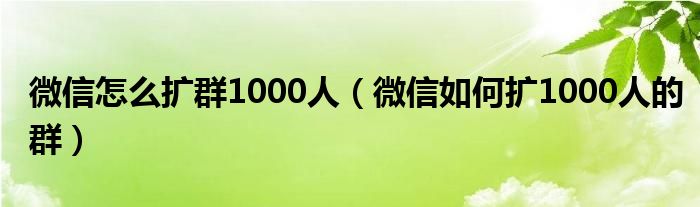 微信怎么扩群1000人（微信如何扩1000人的群）