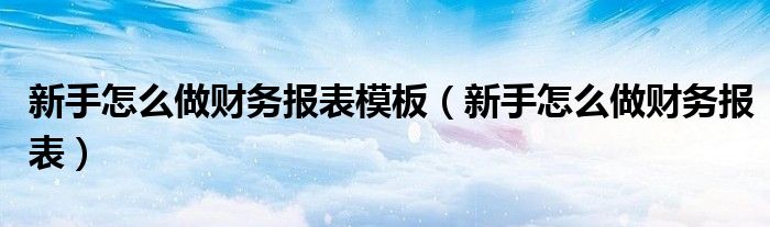 新手怎么做财务报表模板（新手怎么做财务报表）