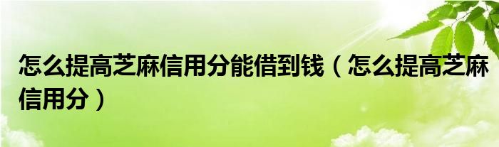 怎么提高芝麻信用分能借到钱（怎么提高芝麻信用分）