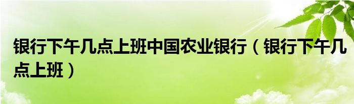 银行下午几点上班中国农业银行（银行下午几点上班）