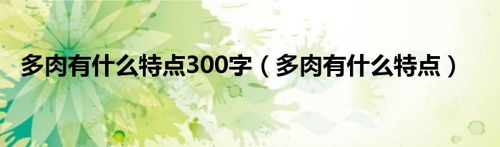 多肉有什么特点300字（多肉有什么特点）