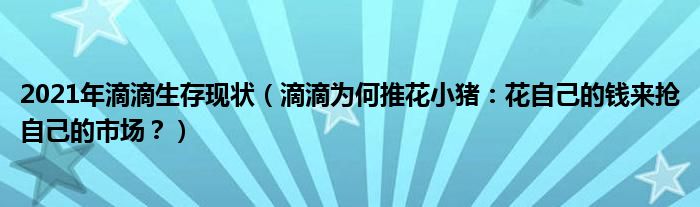 2021年滴滴生存现状（滴滴为何推花小猪：花自己的钱来抢自己的市场？）