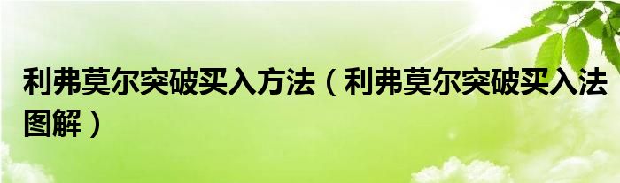 利弗莫尔突破买入方法（利弗莫尔突破买入法图解）