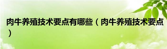 肉牛养殖技术要点有哪些（肉牛养殖技术要点）