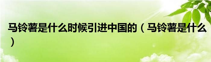 马铃薯是什么时候引进中国的（马铃薯是什么）