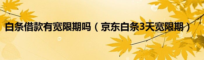 白条借款有宽限期吗（京东白条3天宽限期）