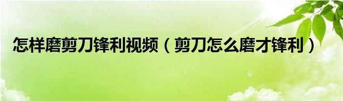 怎样磨剪刀锋利视频（剪刀怎么磨才锋利）