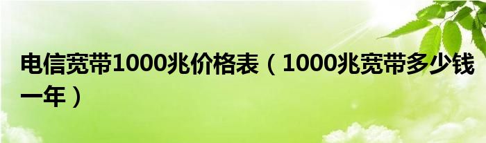 电信宽带1000兆价格表（1000兆宽带多少钱一年）