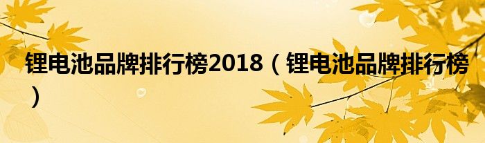 锂电池品牌排行榜2018（锂电池品牌排行榜）