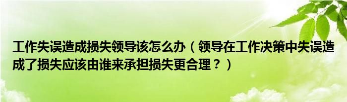 工作失误造成损失领导该怎么办（领导在工作决策中失误造成了损失应该由谁来承担损失更合理？）