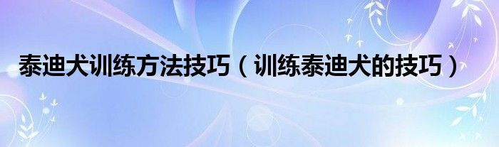 泰迪犬训练方法技巧（训练泰迪犬的技巧）