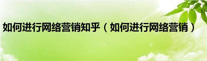 如何进行网络营销知乎（如何进行网络营销）