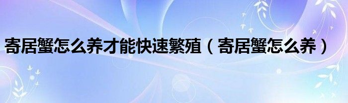 寄居蟹怎么养才能快速繁殖（寄居蟹怎么养）