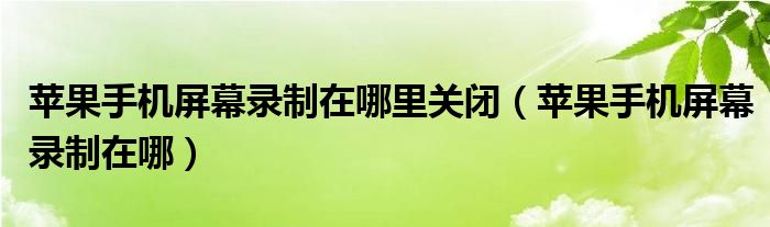 苹果手机屏幕录制在哪里关闭（苹果手机屏幕录制在哪）