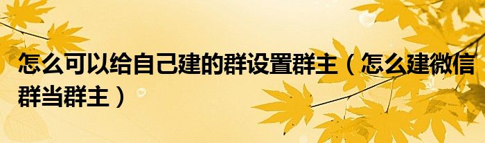 怎么可以给自己建的群设置群主（怎么建微信群当群主）