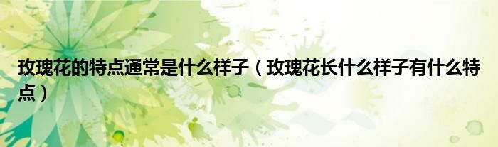 玫瑰花的特点通常是什么样子（玫瑰花长什么样子有什么特点）