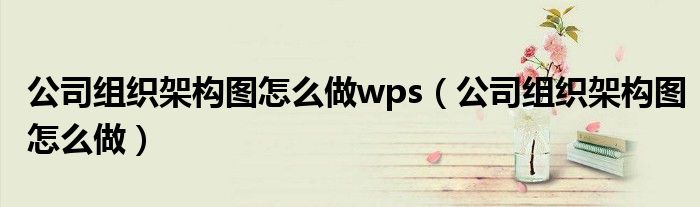 公司组织架构图怎么做wps（公司组织架构图怎么做）