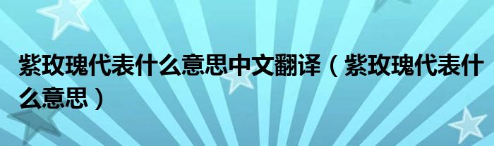 紫玫瑰代表什么意思中文翻译（紫玫瑰代表什么意思）