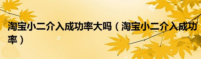 淘宝小二介入成功率大吗（淘宝小二介入成功率）