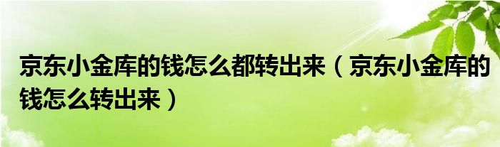 京东小金库的钱怎么都转出来（京东小金库的钱怎么转出来）