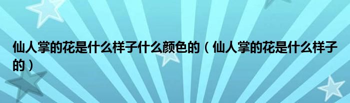 仙人掌的花是什么样子什么颜色的（仙人掌的花是什么样子的）