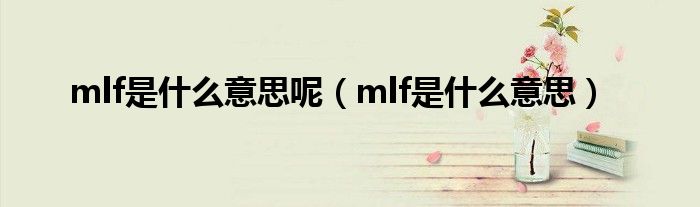 mlf是什么意思呢（mlf是什么意思）