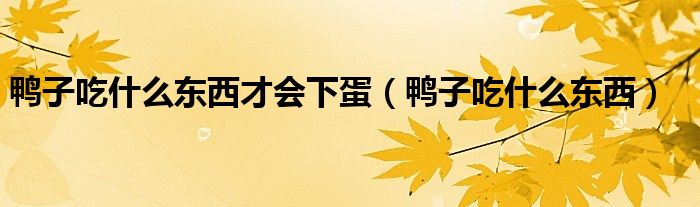 鸭子吃什么东西才会下蛋（鸭子吃什么东西）