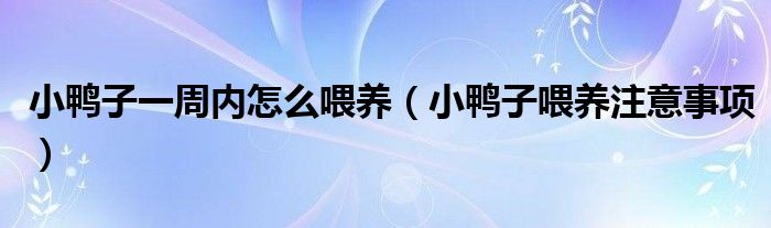 小鸭子一周内怎么喂养（小鸭子喂养注意事项）