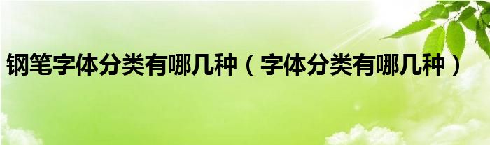 钢笔字体分类有哪几种（字体分类有哪几种）