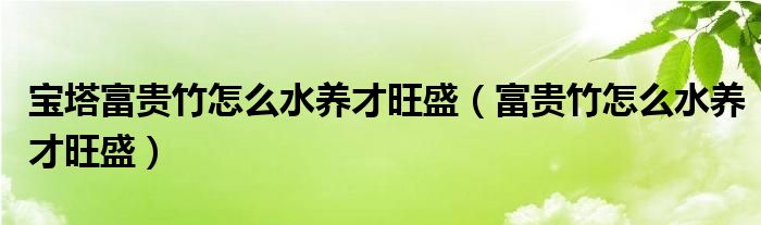 宝塔富贵竹怎么水养才旺盛（富贵竹怎么水养才旺盛）