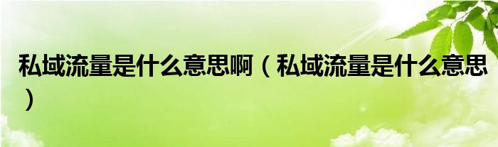 私域流量是什么意思啊（私域流量是什么意思）