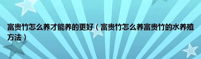 富贵竹怎么养才能养的更好（富贵竹怎么养富贵竹的水养殖方法）