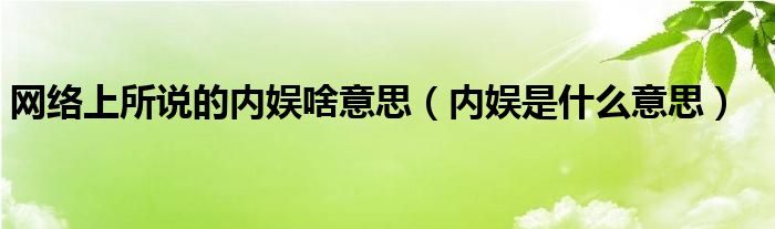 网络上所说的内娱啥意思（内娱是什么意思）