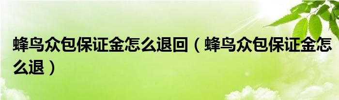 蜂鸟众包保证金怎么退回（蜂鸟众包保证金怎么退）