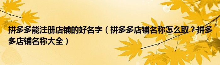 拼多多能注册店铺的好名字（拼多多店铺名称怎么取？拼多多店铺名称大全）